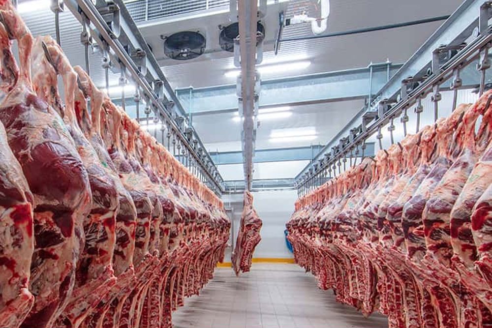 Et ve Ürünleri Depolama Hizmet