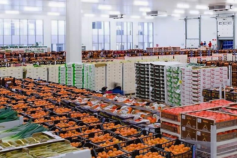 Sebze ve Meyve Depolama Hizmeti