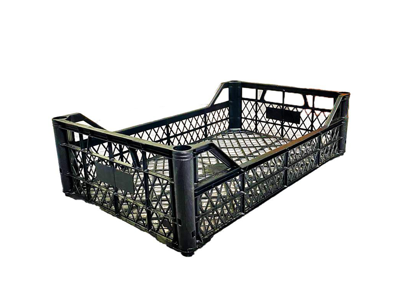 BF - 20 Plastik Kasa – Tek Kullanımlık Plastik Kasa – Plastik Meyve Kasası