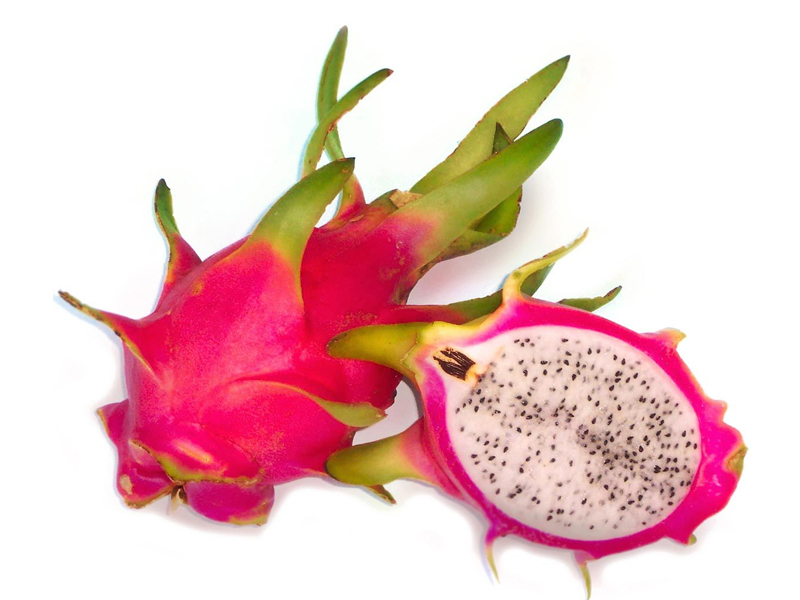 Ejder Meyvesi (Hylocereus)